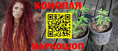 тгк Краснокаменск
