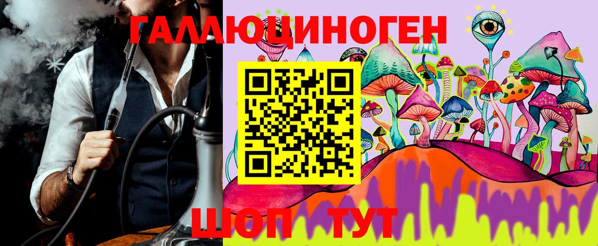 Псилоцибиновые грибы мухоморы Киселёвск